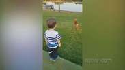 Fofura do dia: menino de Nova Santa Rosa se emociona ao fazer amizade com um cão