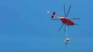 Bombeiros usam helicóptero para resgatar vaca na Itália
