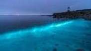 Plâncton bioluminescente cria espetáculo de luz no mar