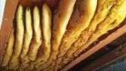 Mulher encontra colmeia gigante com 50 kg de mel escondida no teto de casa