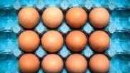 Como os ovos podem ajudar a nos proteger da gripe