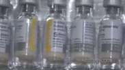Febre amarela: Recomendação é se vacinar antes de viajar