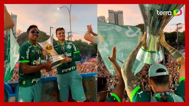 Palmeiras conquista o bi no Brasileirão e soma 12º título nacional com  empate diante do Cruzeiro - Portal de notícias de Penedo-AL e região.
