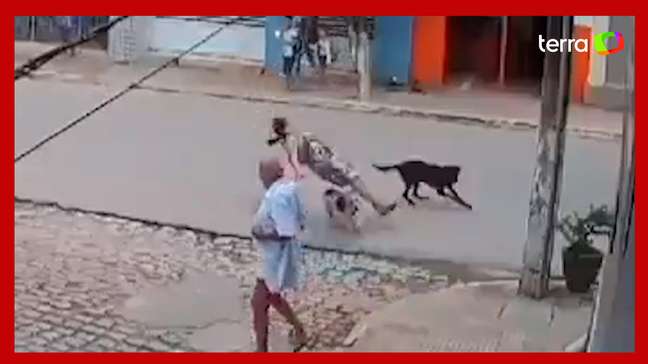 Mulher é 'atropelada' por cachorros e bate a cabeça em queda na Paraíba
