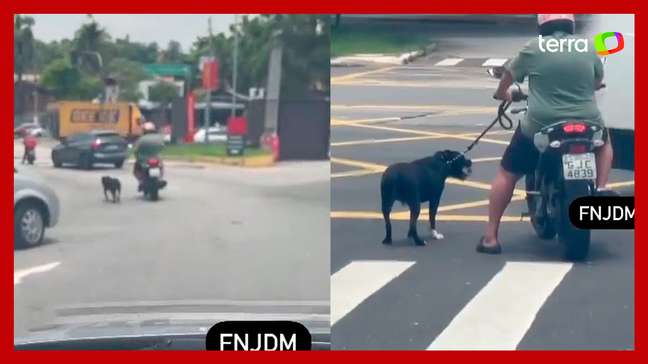 Tutor arrasta cachorro de moto pela cidade