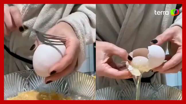 Galinha bota 'ovo gigante' com outro inteiro dentro, e cena intriga internautas