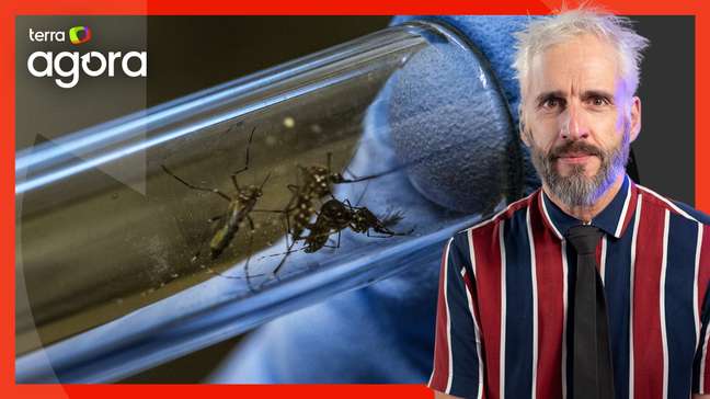 Outono deve favorecer redução nos casos de dengue apesar de ano atípico, diz assessora