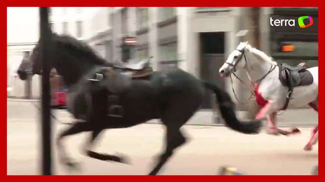 Cavalos fogem e deixam feridos no centro de Londres