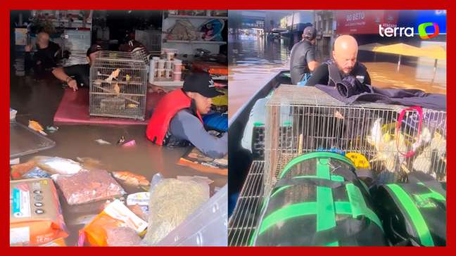 Voluntários resgatam mais de 60 animais trancados em pet shop alagado no RS