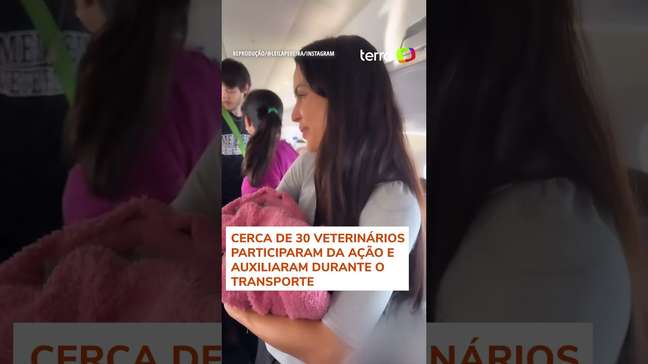 Leila Pereira cede avião para resgatar cerca de 100 animais no Rio Grande do Sul #shorts