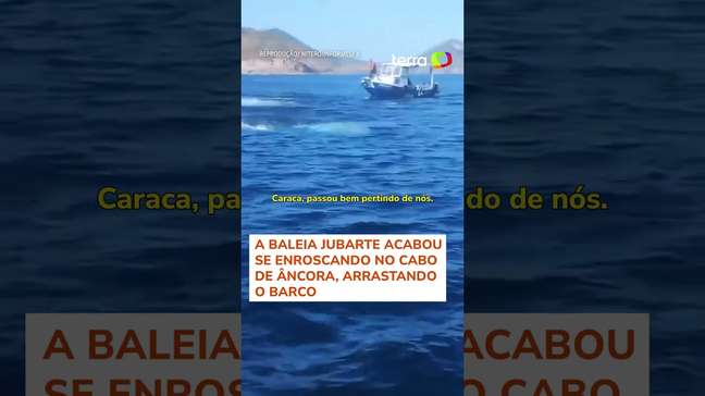 Baleia se 'enrosca' em cabo de âncora e assusta pescadores no Rio de Janeiro #shorts
