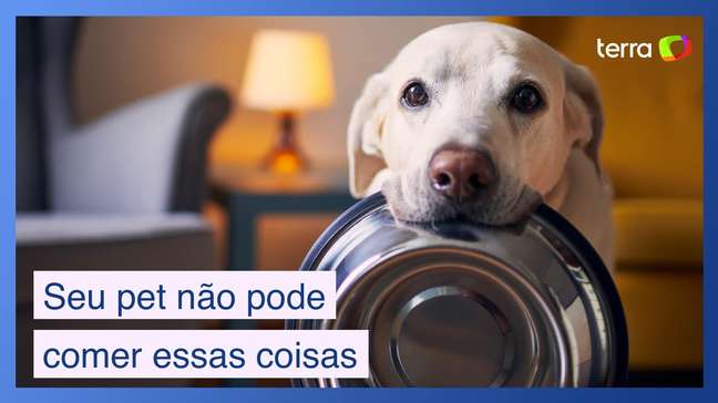 Coisas que seu pet não pode comer (e você está dando pra ele mesmo assim)