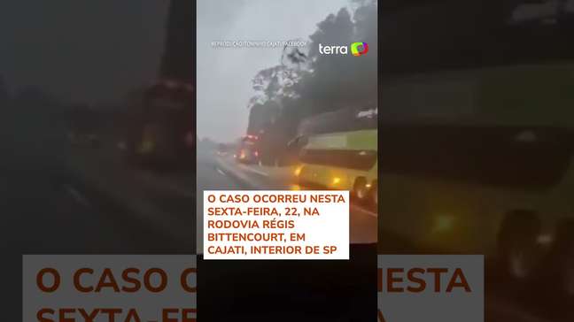 Homem é preso após atear fogo em ônibus durante viagem entre São Paulo e Paraná #shorts