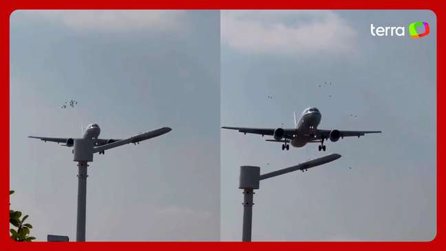 Avião acerta bando de pássaros durante pouso em aeroporto na China