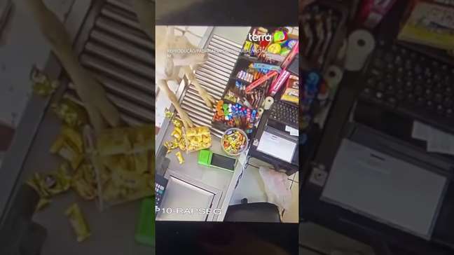 Cabritos são flagrados 'furtando' guloseimas em padaria em MG #shorts