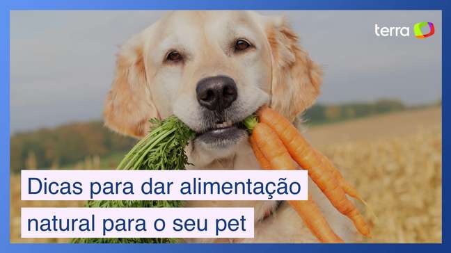 Dicas práticas para uma alimentação natural de seu pet