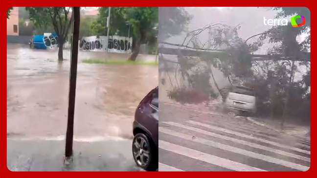 Moradores registram quedas de árvores e alagamentos durante temporal em SP