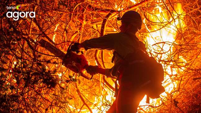 Incêndios em Los Angeles, entrevista com Marcos Mion e mais