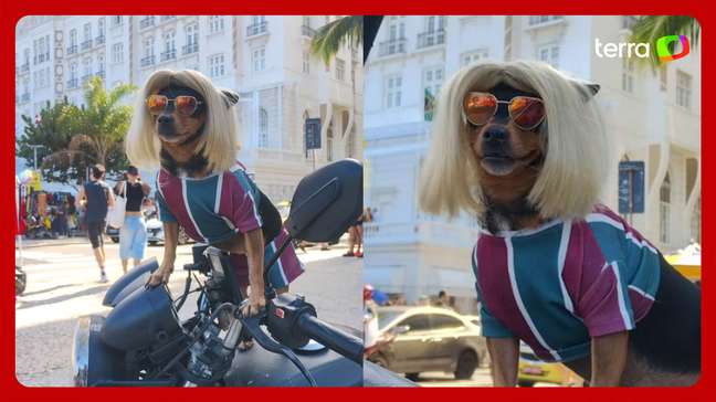 Cadelinha famosa por acompanhar tutor em entregas rouba a cena vestida de Lady Gaga em Copacabana
