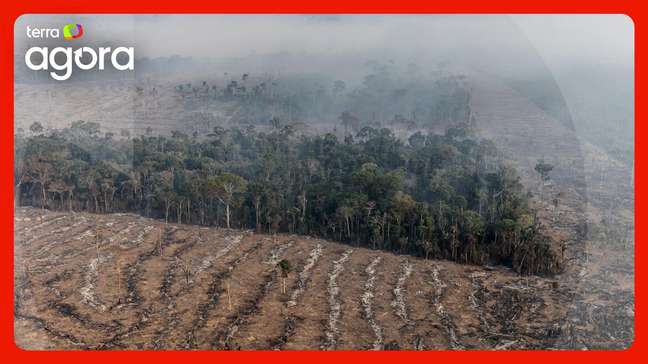 'PL da devastação vai gerar impacto na vida das pessoas', afirma Greenpeace