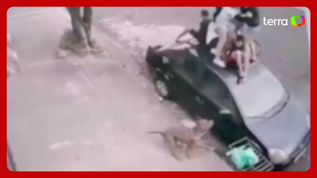 Grupo de crianças sobe em teto de carro para fugir de ataque de pitbull em SP
