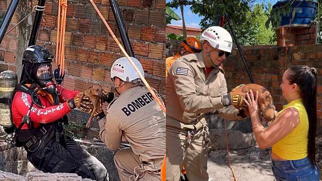 Cadela é salva após cair em poço de 10 metros no Maranhão