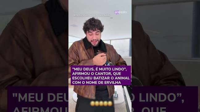 Rafa Kalimann presenteia Nattan com filhote de cachorro: 'Sonho dele' #shorts