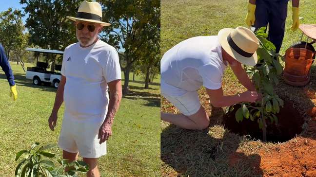 Lula planta baobá no Alvorada e diz que árvore é para que futuros presidentes 'tenham juízo'