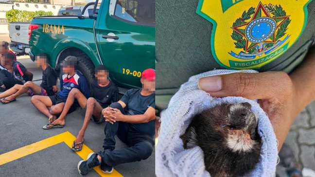 Polícia prende oito pessoas por tráfico de animais em operação conjunta com o Ibama no RJ