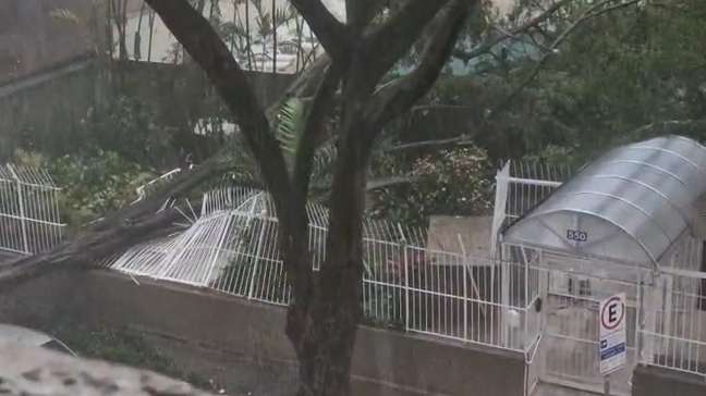 Temporal derruba árvores e provoca enchentes em São Paulo 