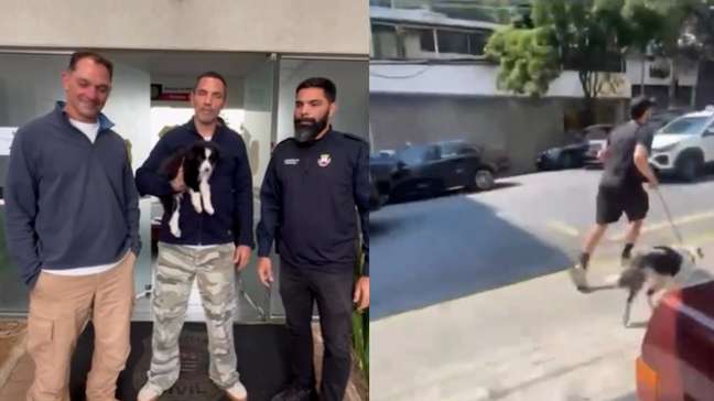 Cachorro levado de petshop por homem é recuperado após um dia de buscas: ‘Baião de Dois resgatado’