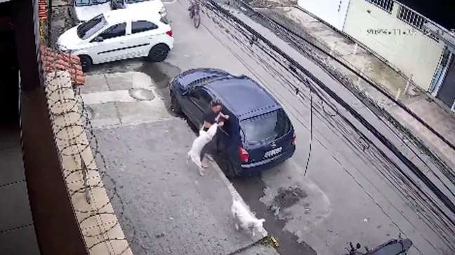 Mulher é atacada por pitbulls no Rio