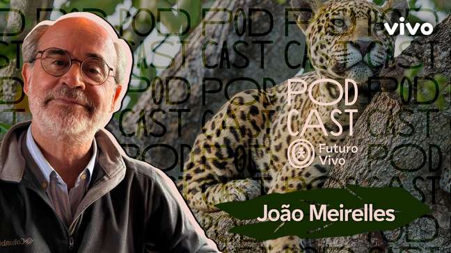 Perda da biodiversidade é irreversível, alerta João Meirelles