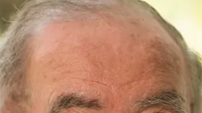 Filha de Renato Aragão processa o próprio pai