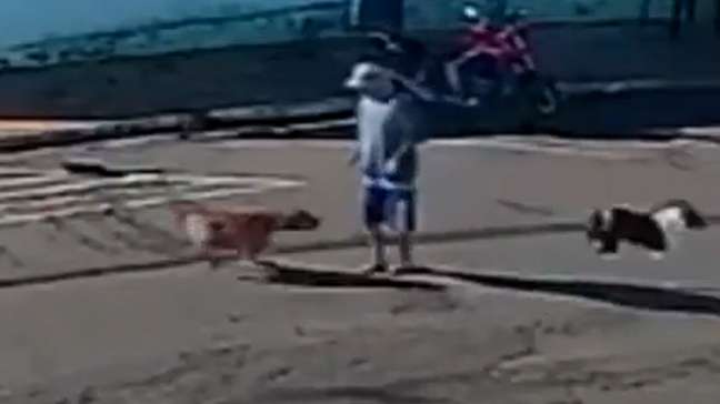 Idoso ‘atropelado’ por cachorro morre quatro meses após acidente em Piacatu (SP)