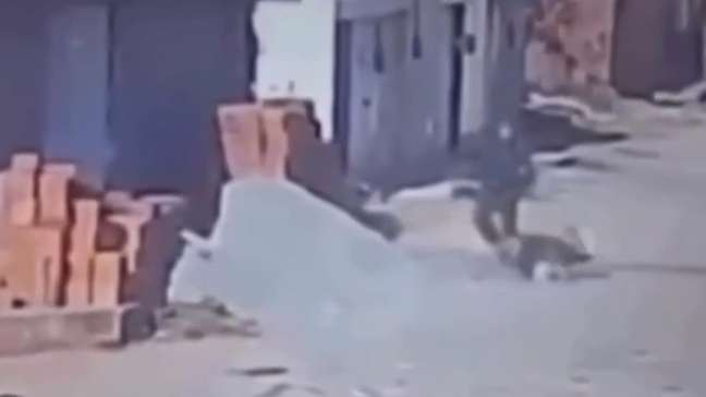 Vídeo mostra ação de PM que atirou e matou pitbull após cão atacar seu poodle de estimação no Ceará