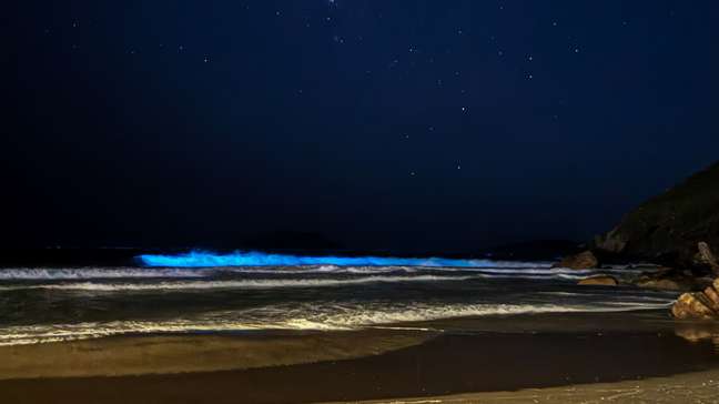 Jovem registra mar com brilho fluorescente em Florianópolis (SC): ‘Perfeição’
