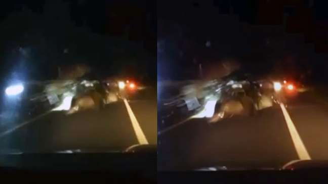 Vídeo mostra acidente na BR-101 que matou quatro pessoas da mesma família no ES