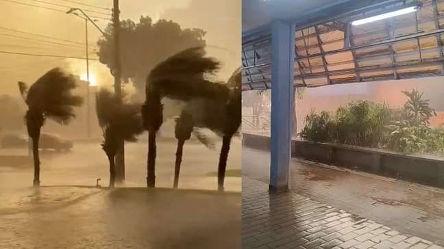 Árvores caindo, raios e enchentes: vídeos mostram cenário de terror com tempestade em Uberlândia