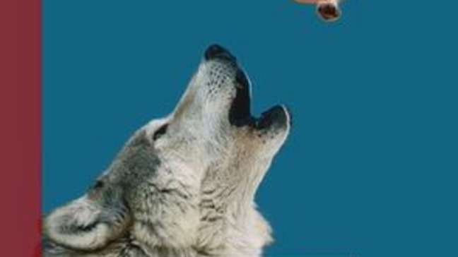 Por que amamos tanto os cachorros?