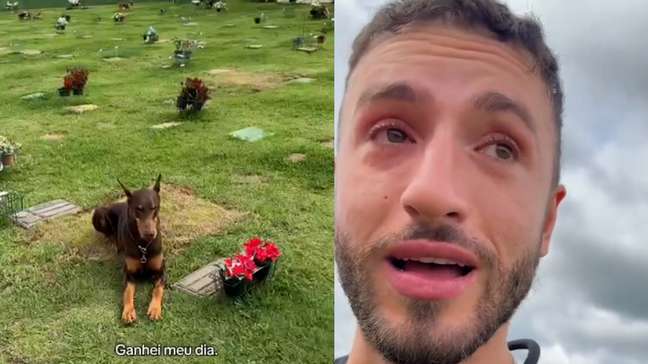 Jovem se emociona com atitude de cachorro durante visita ao túmulo do avô