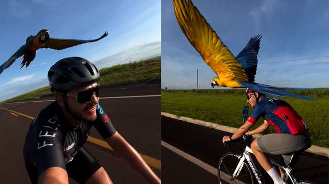 Ciclista viraliza ao registrar arara ‘escoltando’ grupo em atividade no interior de SP
