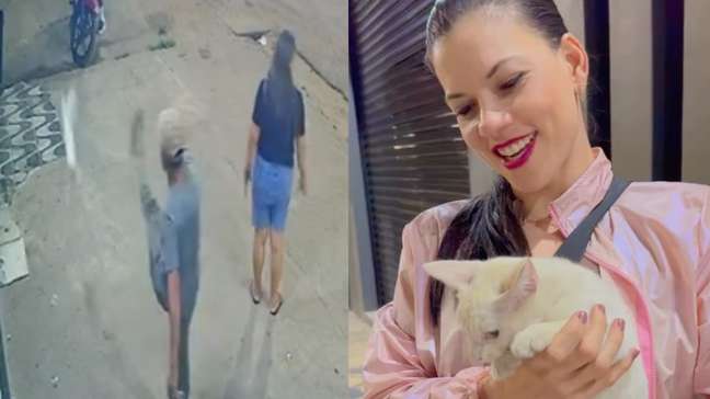 Mulher adota gato que defendeu de agressão no Pará: 'Só agradecer'