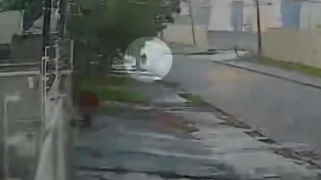 Jovem se agarra a árvore durante tornado no caminho para casa no Paraná