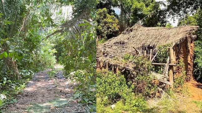 Imagens mostram local exato onde menino desaparecido foi encontrado em mata no Maranhão