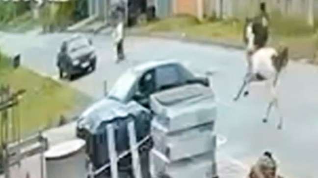 Jovem montado em égua atropela duas idosas em município da Baixada Fluminense; veja momento