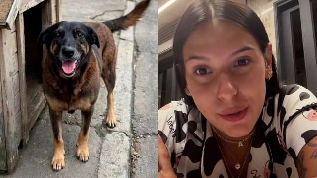 Cantora Ana Castela desabafa sobre morte do cachorro Orelha em SC: ‘Sem coração’