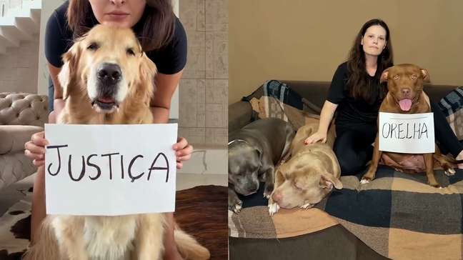 Caso Orelha mobiliza influenciadores do universo pet em vídeo por justiça