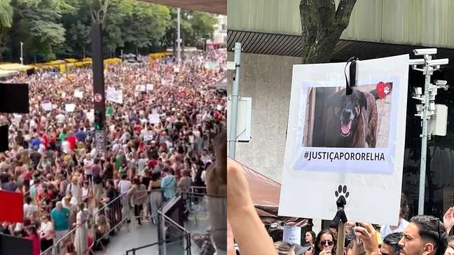 Manifestantes pedem 'Justiça pelo cão Orelha' em protestos por várias cidades do País