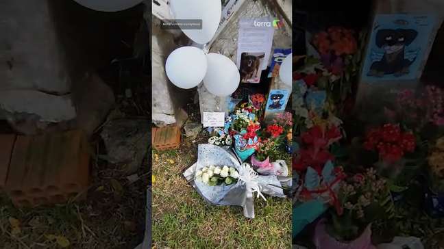 Casinha do cão Orelha é transformada em 'memorial' na Praia Brava (SC) #shorts